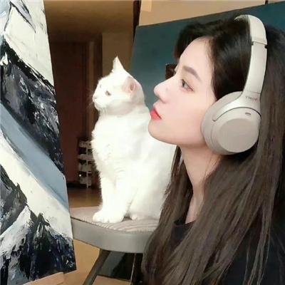 探员卡特 在线观看