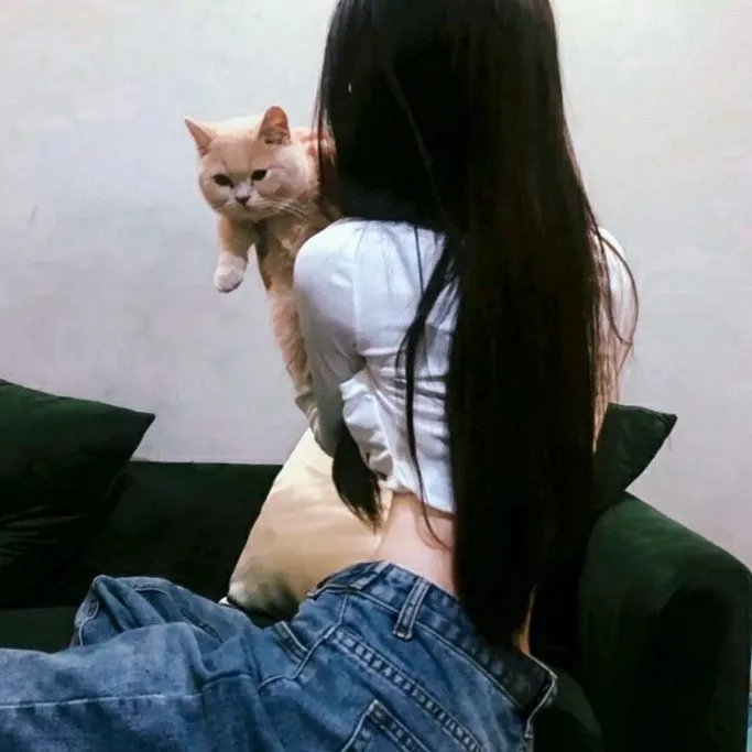 层层追凶 在线观看